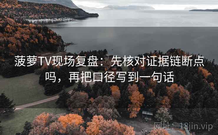 菠萝TV现场复盘：先核对证据链断点吗，再把口径写到一句话